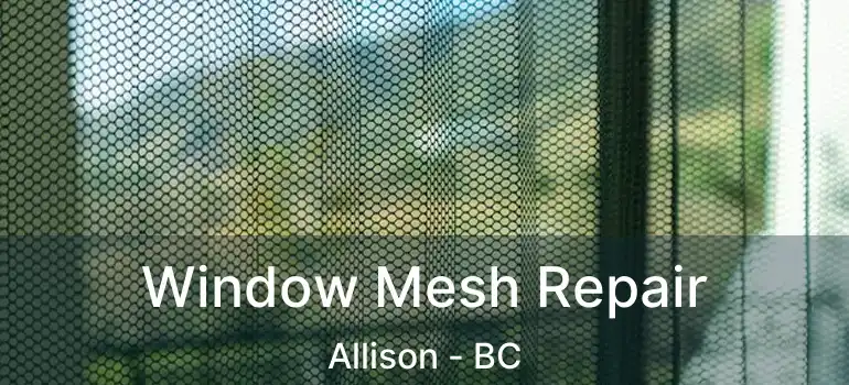  Window Mesh Repair Allison - BC