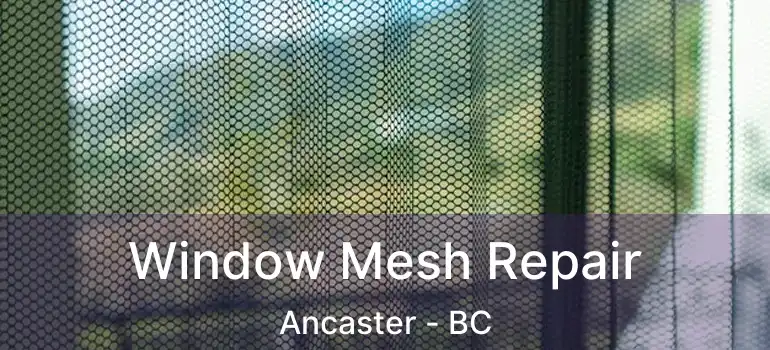  Window Mesh Repair Ancaster - BC