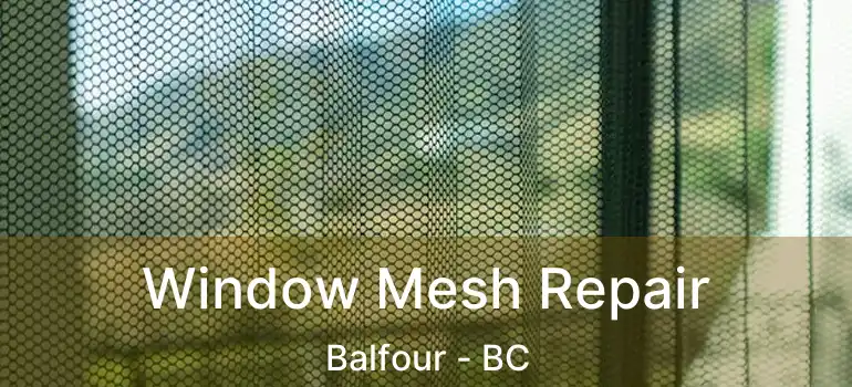  Window Mesh Repair Balfour - BC