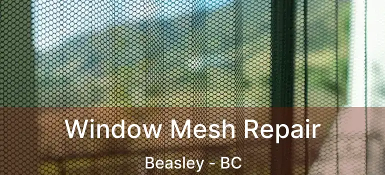  Window Mesh Repair Beasley - BC