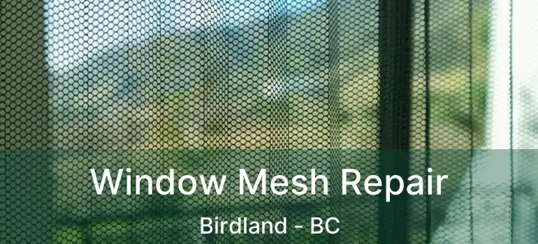  Window Mesh Repair Birdland - BC