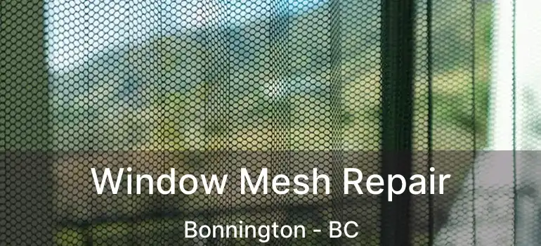  Window Mesh Repair Bonnington - BC