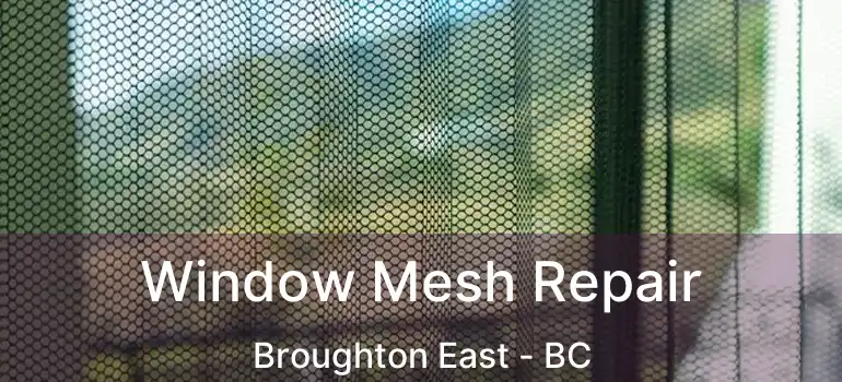  Window Mesh Repair Broughton East - BC