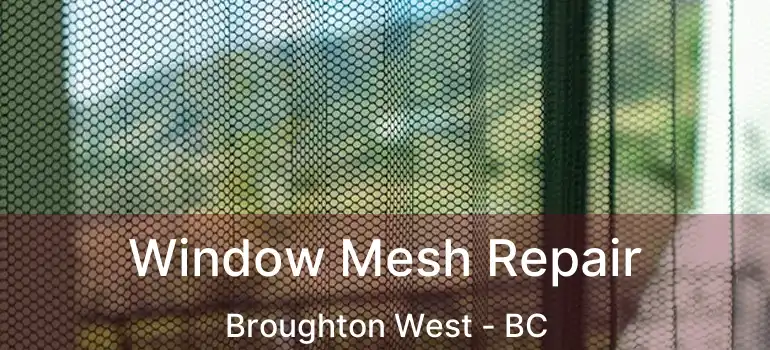  Window Mesh Repair Broughton West - BC