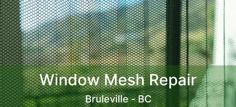  Window Mesh Repair Bruleville - BC