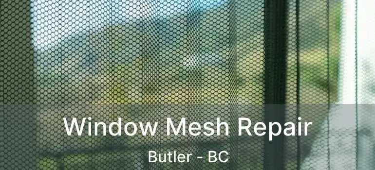  Window Mesh Repair Butler - BC