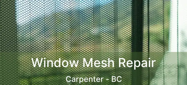  Window Mesh Repair Carpenter - BC