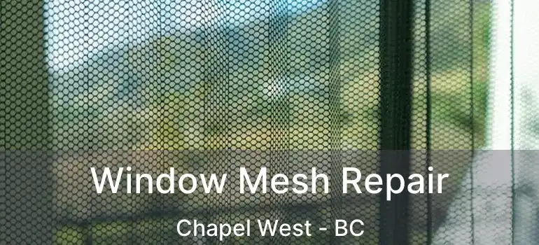  Window Mesh Repair Chapel West - BC