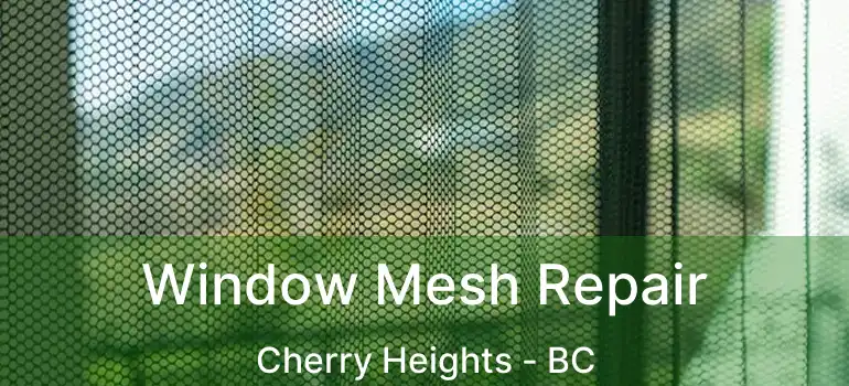  Window Mesh Repair Cherry Heights - BC
