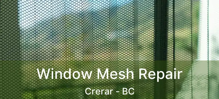  Window Mesh Repair Crerar - BC