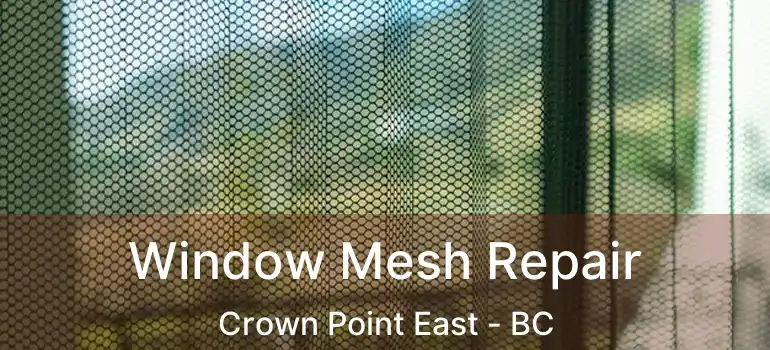  Window Mesh Repair Crown Point East - BC