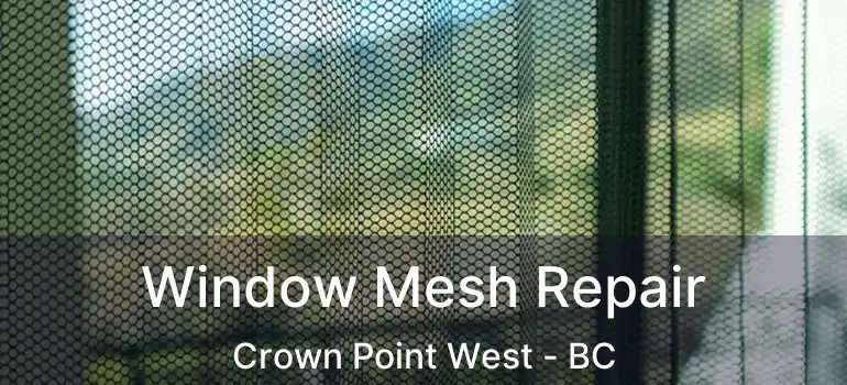  Window Mesh Repair Crown Point West - BC