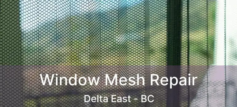  Window Mesh Repair Delta East - BC