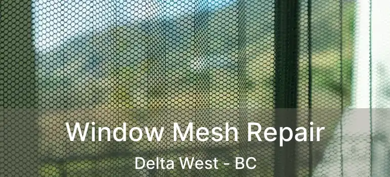  Window Mesh Repair Delta West - BC