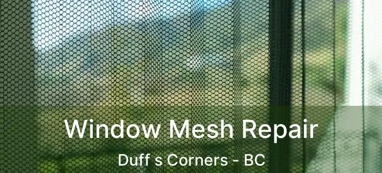  Window Mesh Repair Duff s Corners - BC