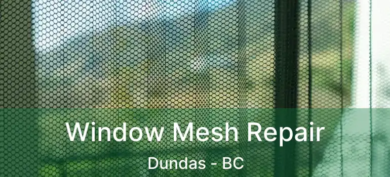  Window Mesh Repair Dundas - BC