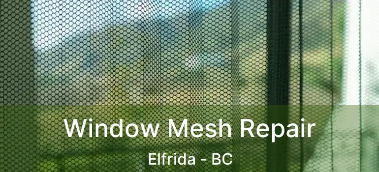  Window Mesh Repair Elfrida - BC