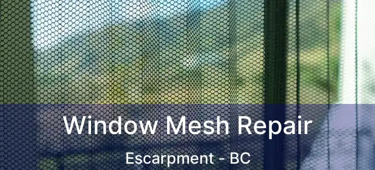  Window Mesh Repair Escarpment - BC