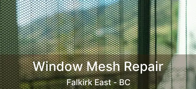  Window Mesh Repair Falkirk East - BC