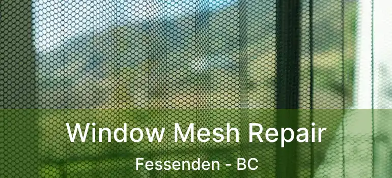 Window Mesh Repair Fessenden - BC