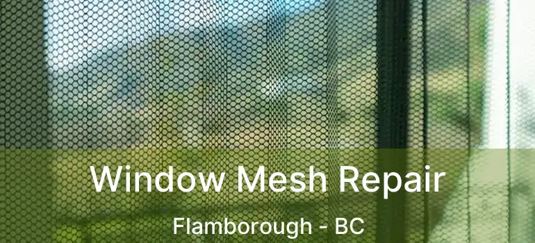  Window Mesh Repair Flamborough - BC