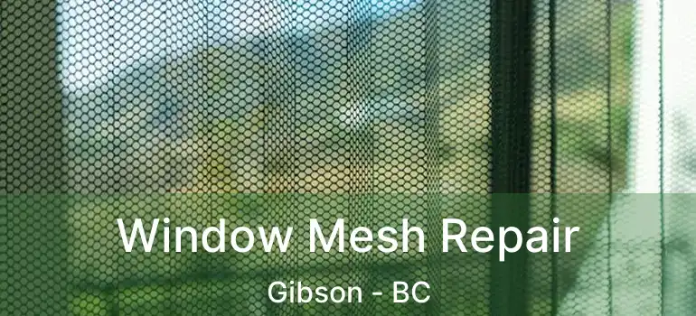 Window Mesh Repair Gibson - BC