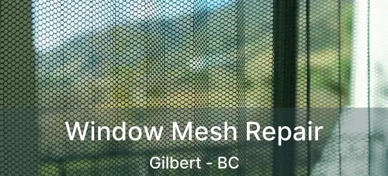  Window Mesh Repair Gilbert - BC