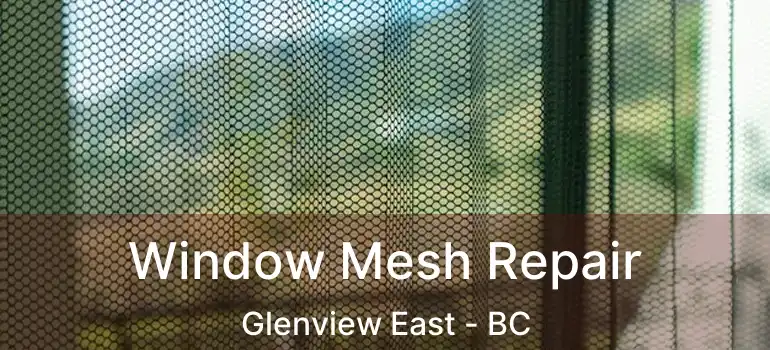  Window Mesh Repair Glenview East - BC
