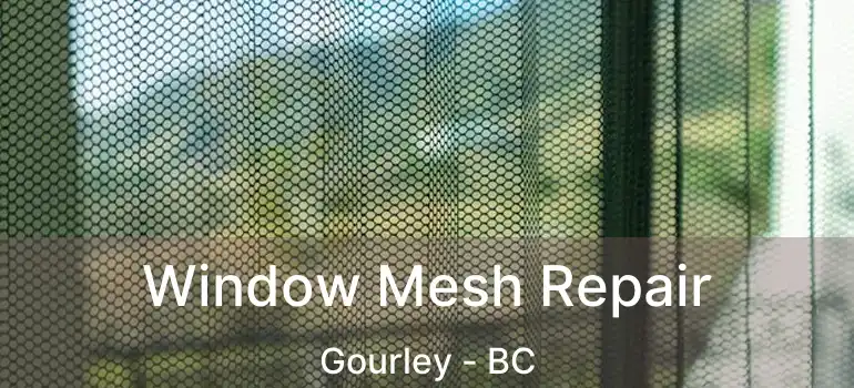  Window Mesh Repair Gourley - BC