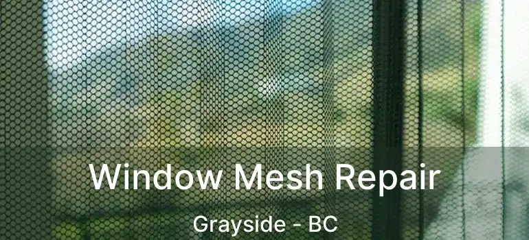  Window Mesh Repair Grayside - BC
