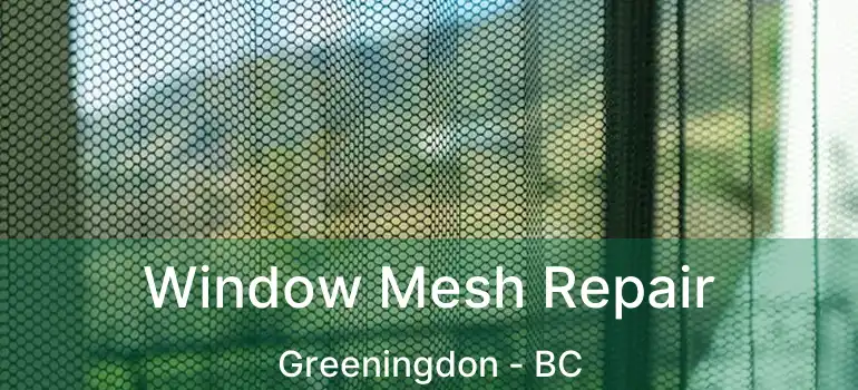  Window Mesh Repair Greeningdon - BC