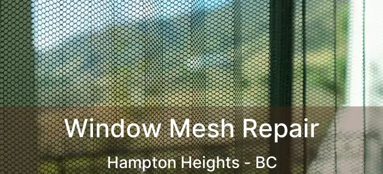  Window Mesh Repair Hampton Heights - BC