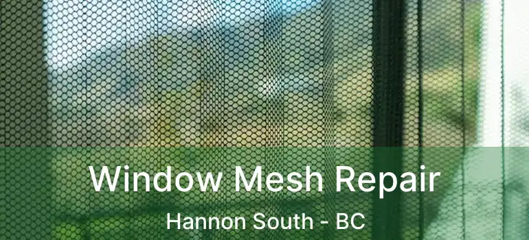 Window Mesh Repair Hannon South - BC
