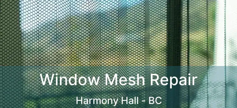  Window Mesh Repair Harmony Hall - BC