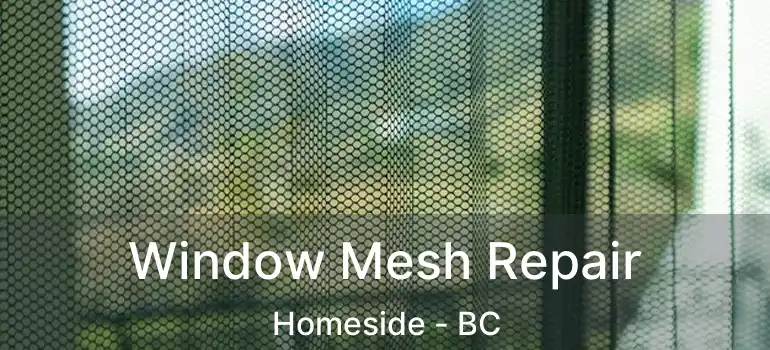  Window Mesh Repair Homeside - BC