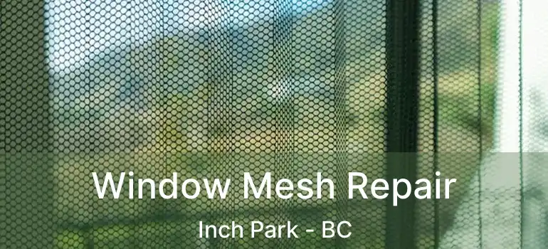  Window Mesh Repair Inch Park - BC