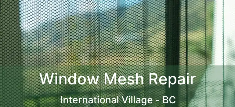  Window Mesh Repair International Village - BC