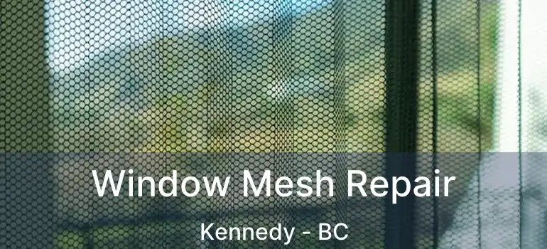  Window Mesh Repair Kennedy - BC