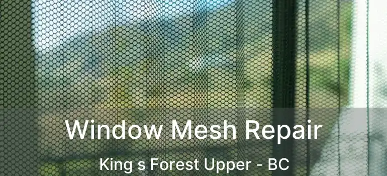  Window Mesh Repair King s Forest Upper - BC