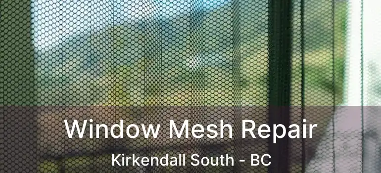  Window Mesh Repair Kirkendall South - BC