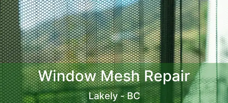  Window Mesh Repair Lakely - BC