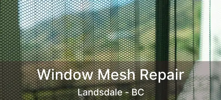  Window Mesh Repair Landsdale - BC