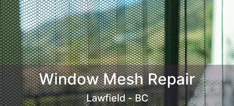  Window Mesh Repair Lawfield - BC