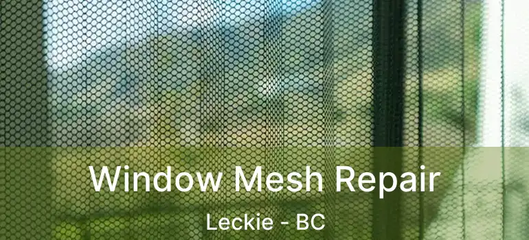  Window Mesh Repair Leckie - BC