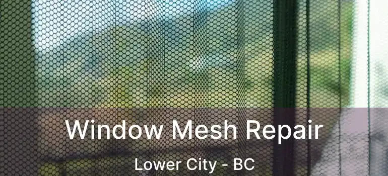  Window Mesh Repair Lower City - BC
