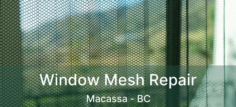  Window Mesh Repair Macassa - BC