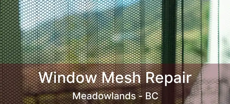  Window Mesh Repair Meadowlands - BC