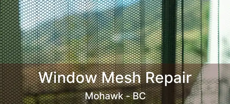  Window Mesh Repair Mohawk - BC