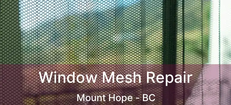  Window Mesh Repair Mount Hope - BC