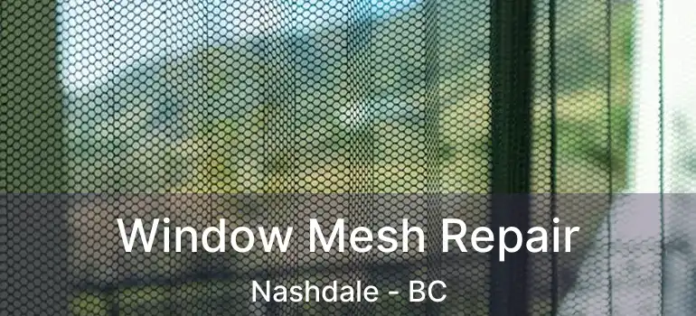  Window Mesh Repair Nashdale - BC